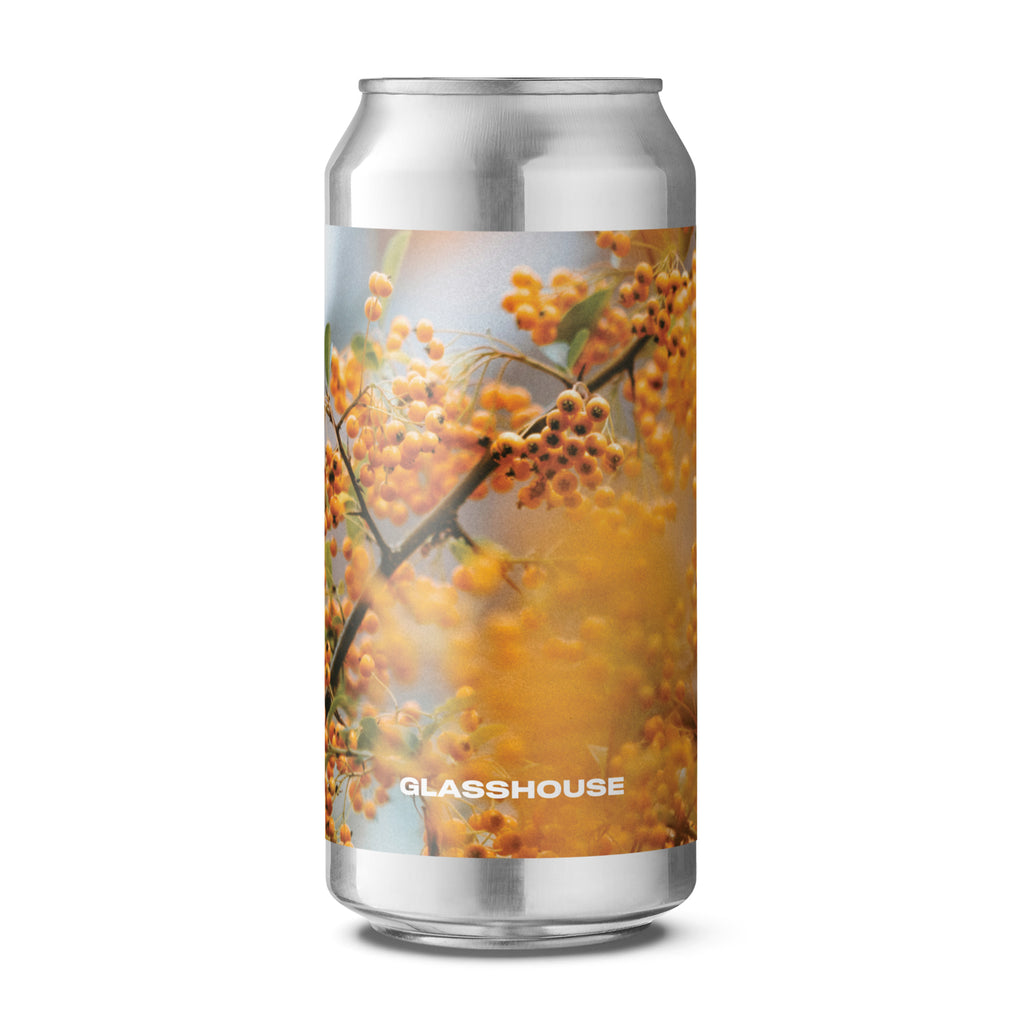 IN OCHRE // IPA