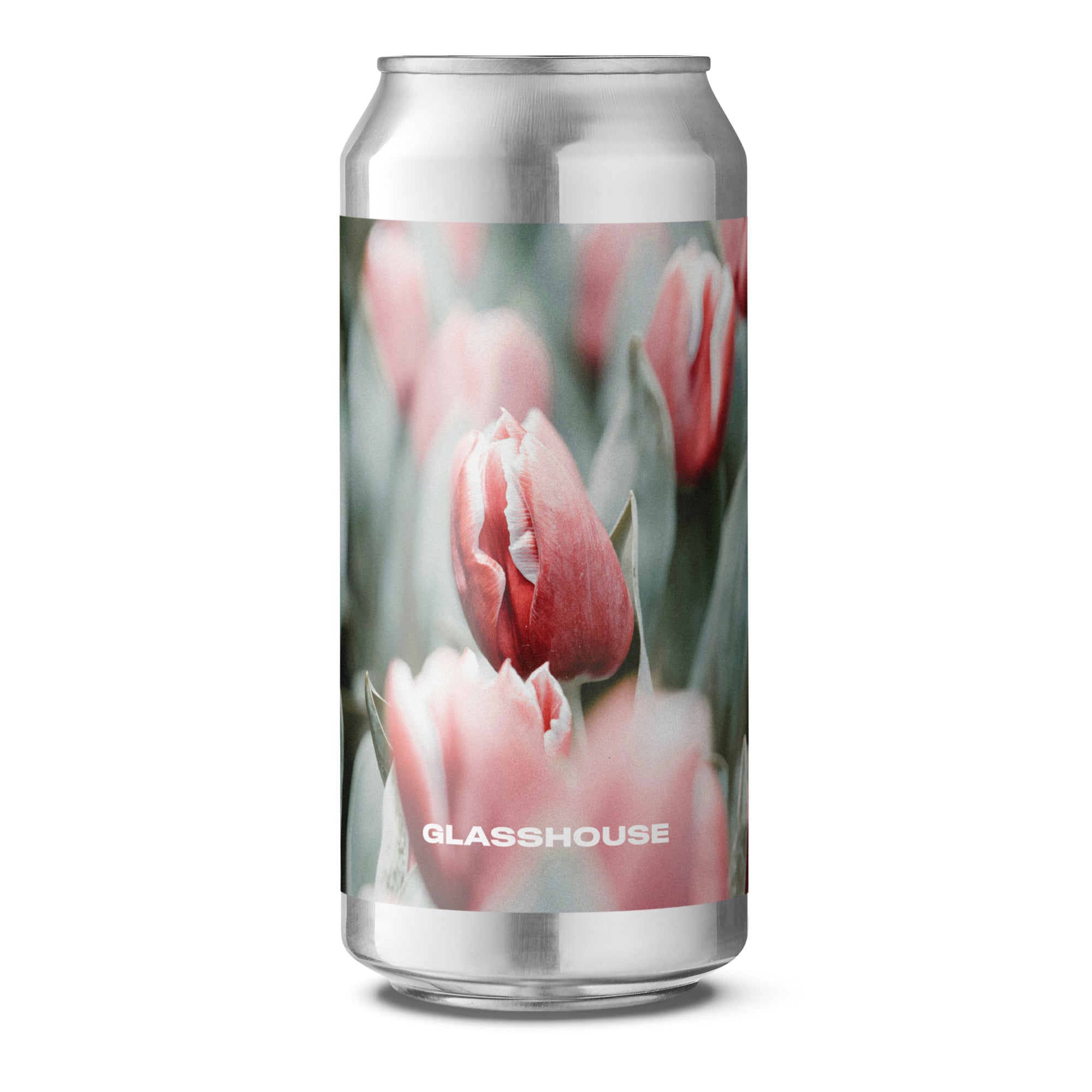 TULIPA // DDH PALE